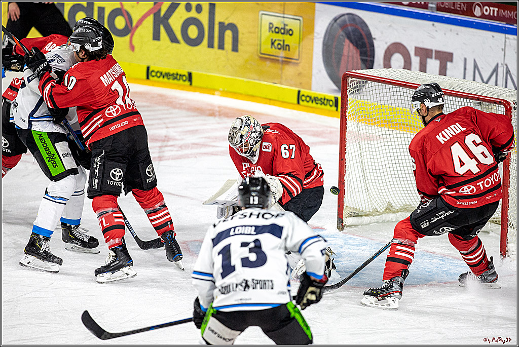 DEL; Koelner Haie - Straubing Tigers; Koeln, 17.11.2019